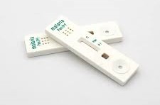 Dengue NS1  Rapid Device